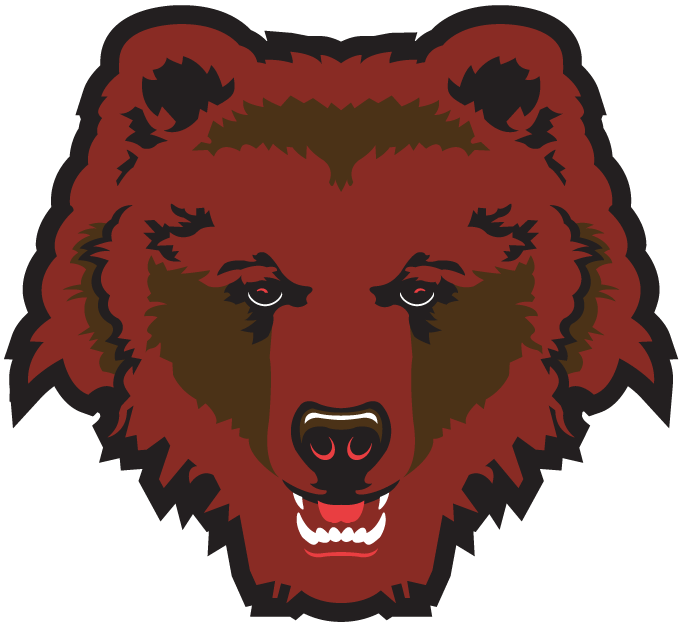 Brown Bears 1997-Pres Partial Logo DIY iron on transfer (heat transfer)